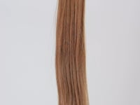 Golden Chestnut #6
